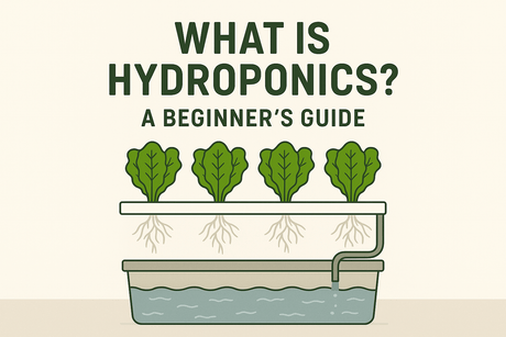 What Is Hydroponics? A Beginner’s Guide - GrowPro Hydroponics Ltd