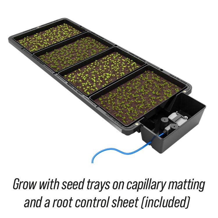 Autopot Tray2Grow Seed Tray - GrowPro Hydroponics Ltd