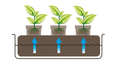 CocoMat Bundle inc. Root Control Sheet 51 x 30 x 3 (cm) - GrowPro Hydroponics Ltd