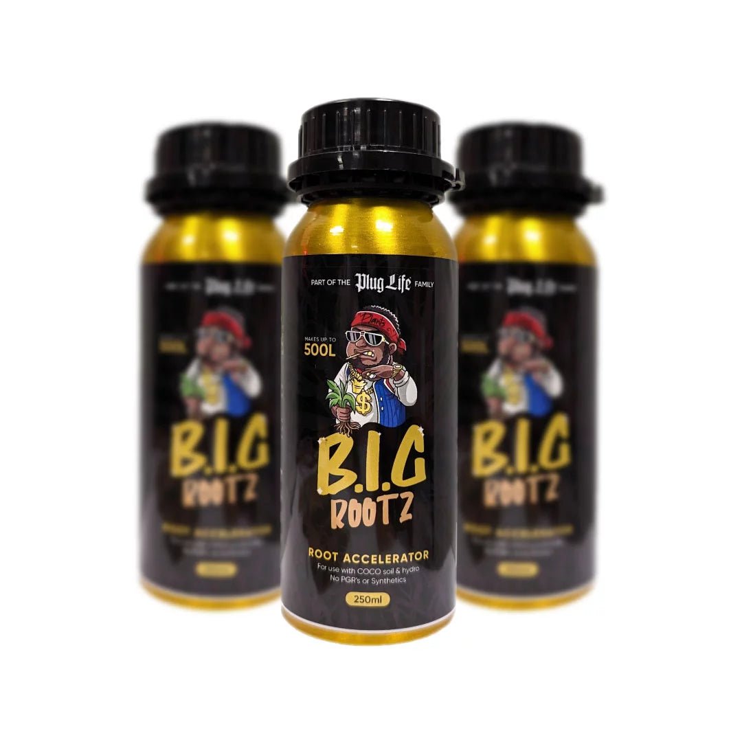 Plug Life B.I.G Rootz 250ml - GrowPro Hydroponics Ltd
