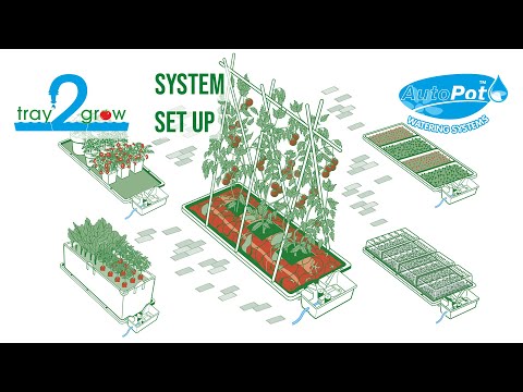 Autopot Tray2Grow