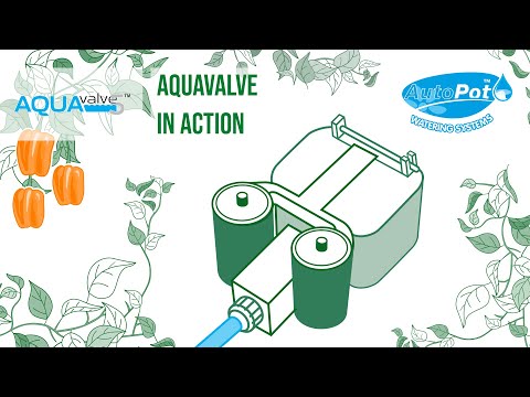 Autopot 4Pot Complete System