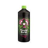 Buddha's Tree Flower Burst - GrowPro Hydroponics Ltd