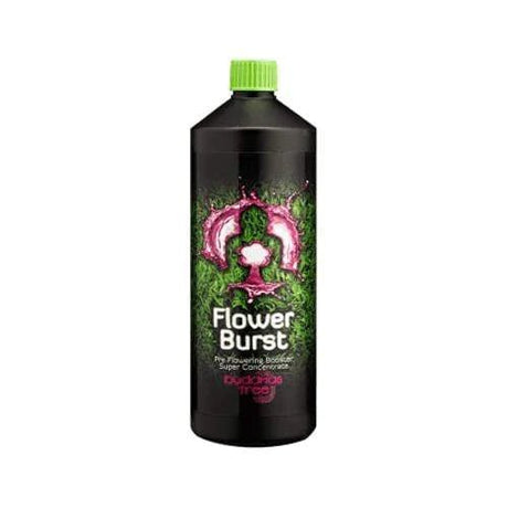 Buddha's Tree Flower Burst - GrowPro Hydroponics Ltd