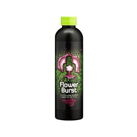 Buddha's Tree Flower Burst - GrowPro Hydroponics Ltd