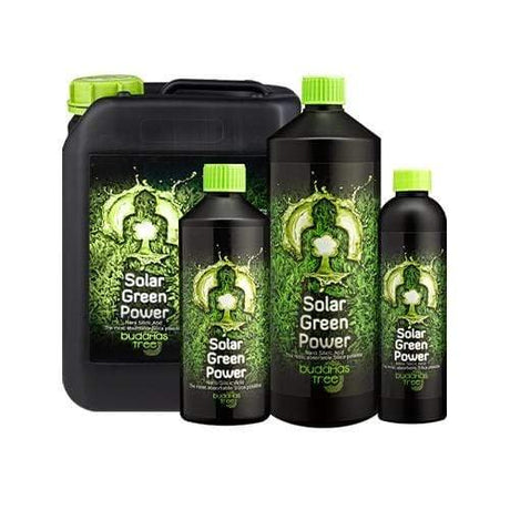 Buddha's Tree Solar Green Power - GrowPro Hydroponics Ltd