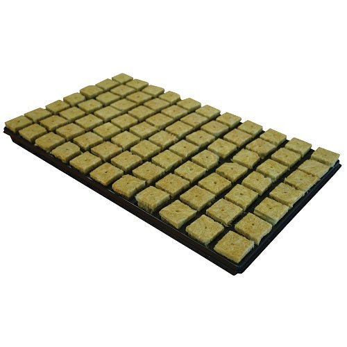 Cultiwool CRB Propagator Cuttings Seed Cubes - GrowPro Hydroponics Ltd