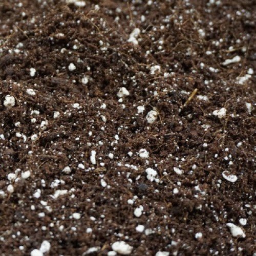 Ecothrive Coco Lite 70/30 - 50L - GrowPro Hydroponics Ltd