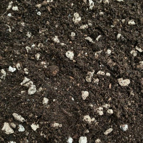 Ecothrive - Eco Life Supercharged Living Soil - GrowPro Hydroponics Ltd