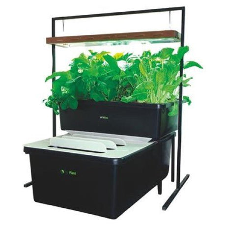 FishPlant Family Unit - GrowPro Hydroponics Ltd