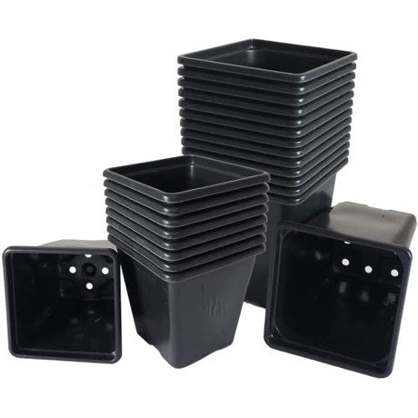 Square Plant Pots - GrowPro Hydroponics Ltd